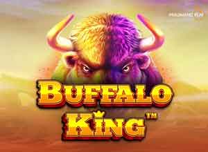 Buffalo King