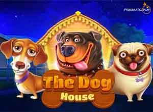 The Dog House